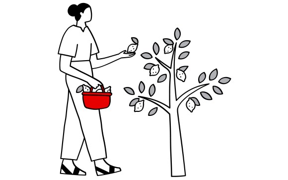 Ilustración de una mujer recolectando fruta de un árbol