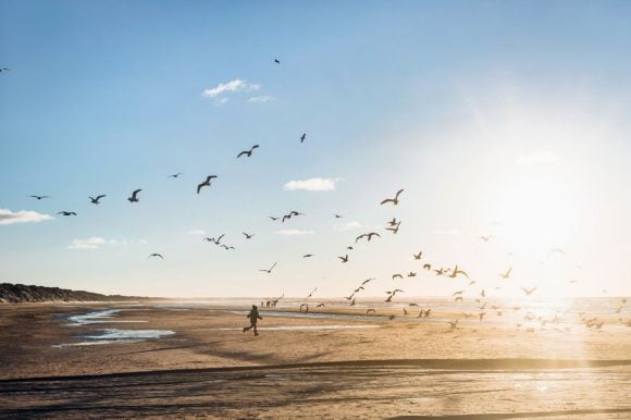 Niño corriendo en la playa con pájaros volando