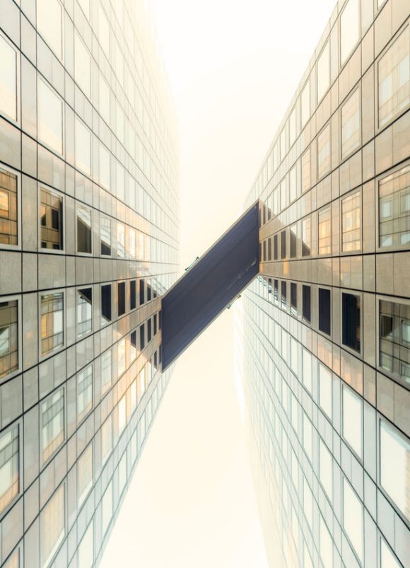 expertise meets scale