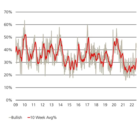 Line charts showing the results of the American Association of Individual Investors survey of investor sentiment towards the stock market, showing bullish