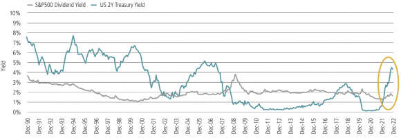 Multi-line chart comparing the US 2Y Treasury yield vs. the SPX dividend yield over the last 30 years.