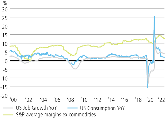 Un grafico a linee che mostra la correlazione dei margini di profitto dell'S&P 500 con l'occupazione e la crescita dei consumi