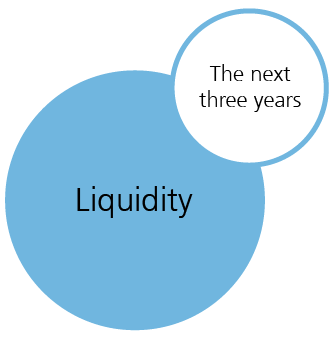 Liquidity: The next  three years 