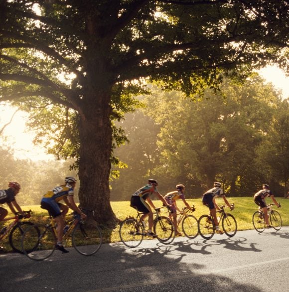 A group of cyclists is riding through a winding, tree-lined country road in the evening sun.