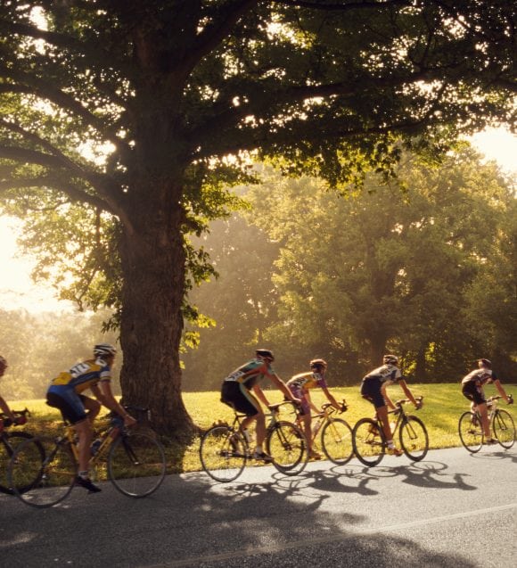 Un groupe de cyclistes roule sur une route de campagne sinueuse bordée d’arbres, baignée par le soleil du soir.