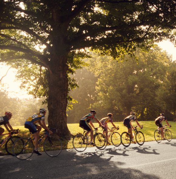 Un gruppo di ciclisti percorre una strada di campagna tortuosa, fiancheggiata da alberi, illuminata dal sole della sera.