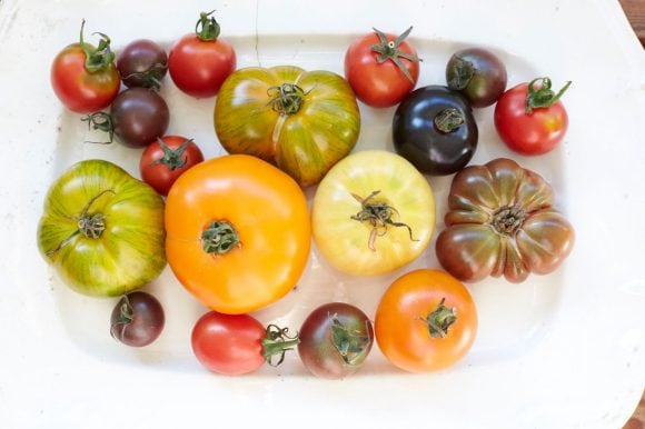 Various types of tomatoes in different colors 