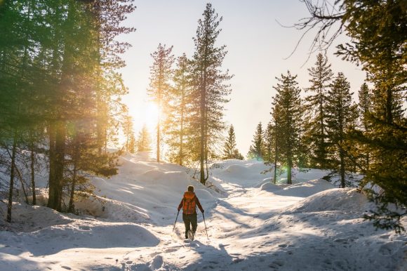 Person trekking in the winter forrest