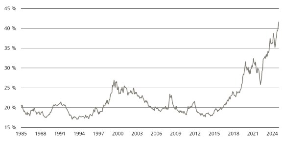 Chart shows market cap of top 10 S&P 500 companies as share of total index market cap.