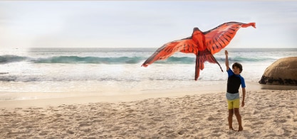 Award-winning performance