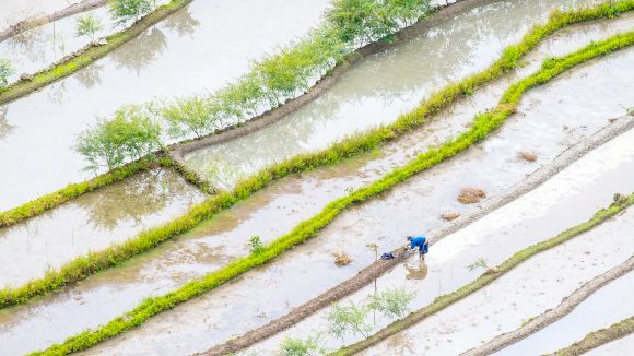 sustainable investing