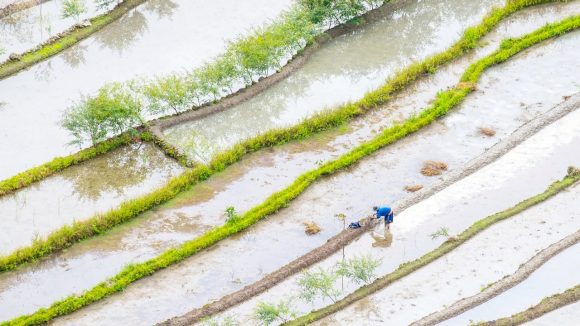 Inversión sostenible