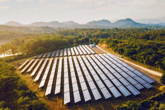 solar panels in a field