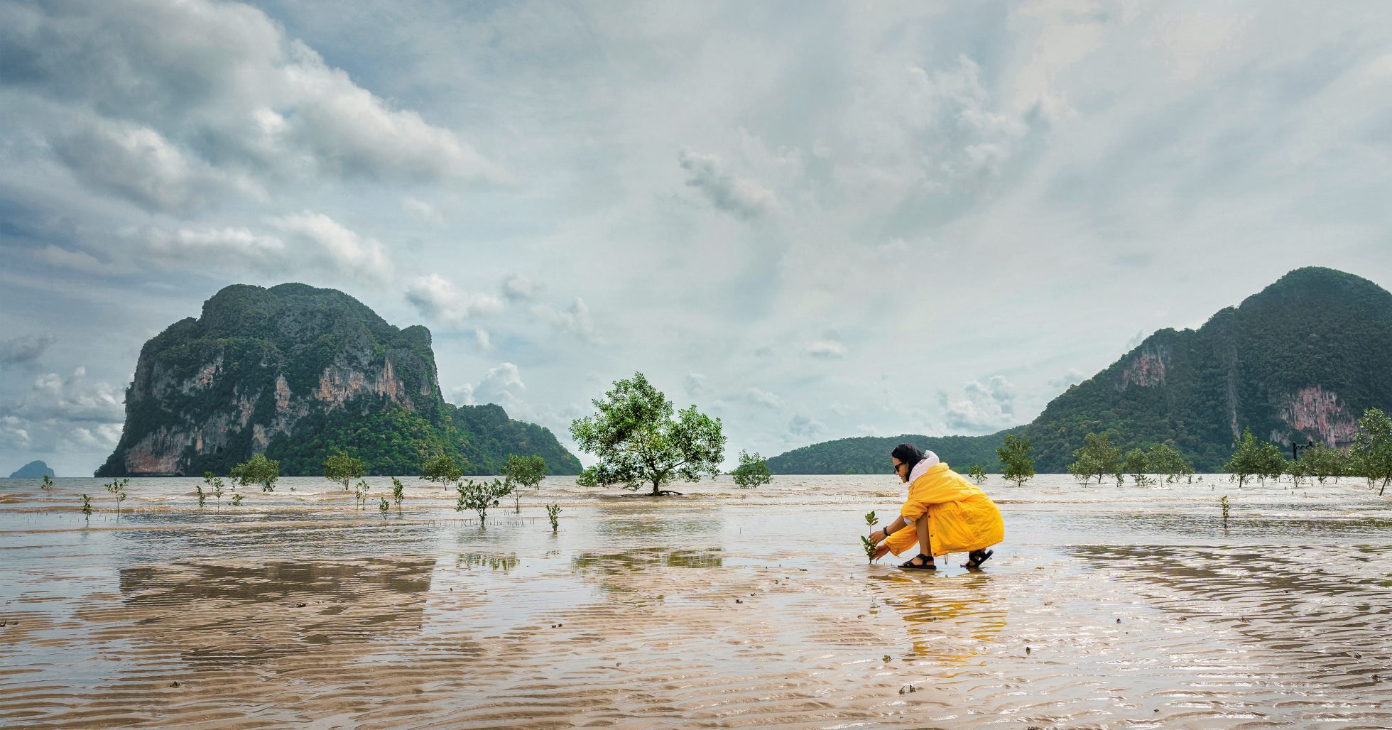 信托和基金会| UBS 新加坡