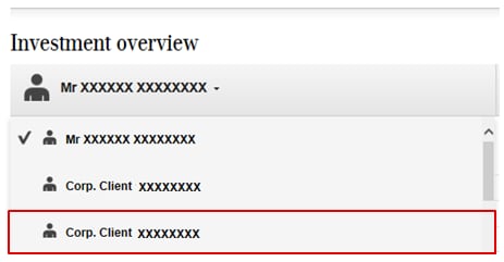 Investment overview section