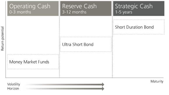 To help you define your liquidity needs, we have a cash management framework that targets investments across the risk, maturity and liquidity spectrum. We categorize cash in three ways: Operating, Reserve and Strategic. And we have a full range of offerings, both funds and separately managed account strategies, which align with each category.