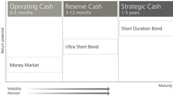 To help you define your liquidity needs, we have a cash management framework that targets investments across the risk, maturity and liquidity spectrum. We categorize cash in three ways: Operating, Reserve and Strategic. And we have a full range of offerings, both funds and separately managed account strategies, which align with each category.