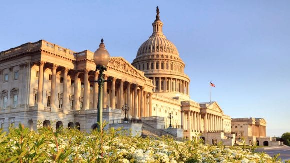U.S. Capital building in Washington D.C., framed by white flowers in the foreground