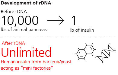 Development of rDNA
