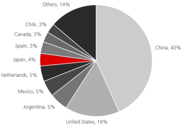 As a % of total Brazil 2024 exports