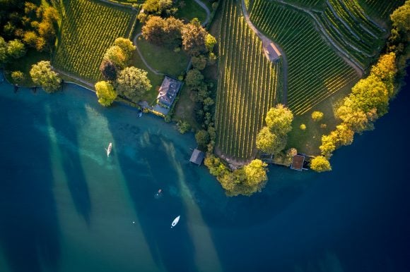 Aerial view of lake-front property with home and vineyard