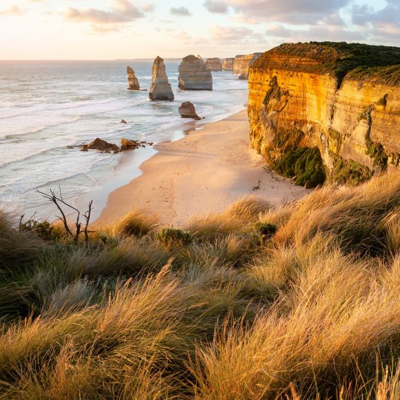 Coastline