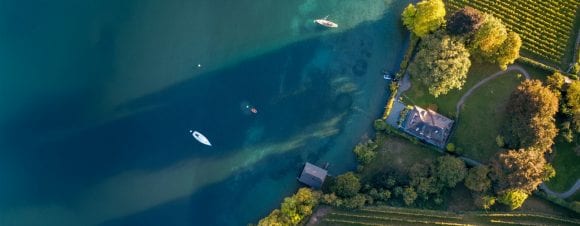 Overhead view of boats on a lake near green shoreline with vineyard.