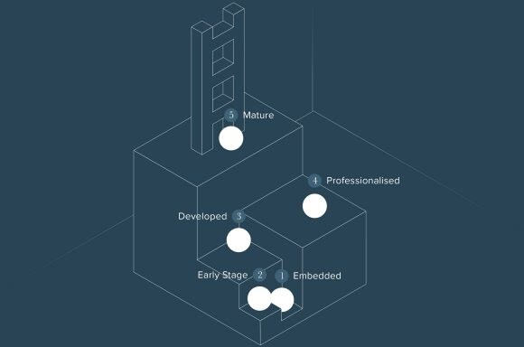 Chart of Agreus Maturity Model