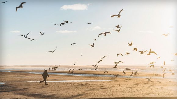 Young boy running on beach playfully chasing seagulls