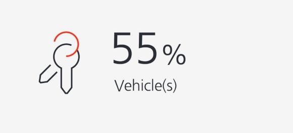 55% Vehicle