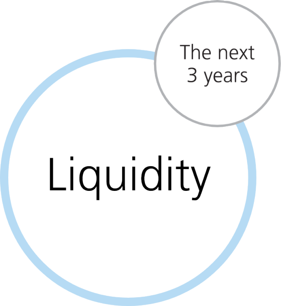 Liquidity - The next three years